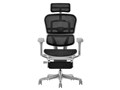 Ergohuman PRO2 Ottoman EHP2-LPL-5D-DR-GF