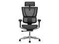 Ergohuman FIT2 FIT2-HAM-5D-DR-BF