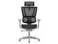 Ergohuman FIT2 FIT2-HAM-5D-DR-GF
