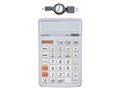 NT-DEN2USV (�V���o�[)
