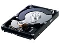 HD154UI (1.5TB SATA300 5400)