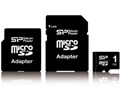 SP001GBSDT000V30 (1GB)