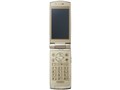 docomo STYLE series P-06A̐i摜