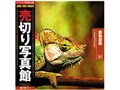 売切り写真館 JFI 27 動物図鑑
