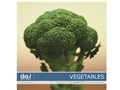�ʐ^�f�� DAJ digital images 027 VEGITABLES [�t���b�V���x�W�^�u���Y]