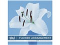 �ʐ^�f�� DAJ digital images 030 FLOWER ARRANGEMENT [�t�����[�A�����W�����g]
