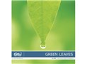 �ʐ^�f�� DAJ digital images 035 GREEN LEAVES [�t���b�V���ȐV�΃C���[�W]
