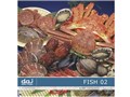 �ʐ^�f�� DAJ digital images 055 FISH 02 [�t���b�V���t�B�b�V�Y 02]