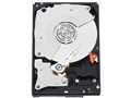 WD2003FYYS (2TB SATA300 7200)