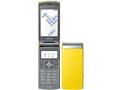 docomo STYLE series L-01B
