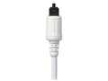 RP-CA2020-W (2m)