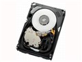 HUS156030VLS600 (300GB 15000 SAS2.0)