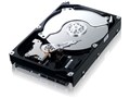 HD103SJ (1TB SATA300 7200)