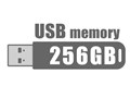 USBフラッシュメモリ 256GB