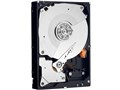 WD1002FAEX (1TB SATA600 7200)
