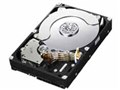 HD203WI (2TB SATA300 5400)