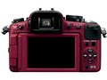 LUMIX DMC-G2K �����Y�L�b�g