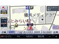 �X�g���[�_�|�P�b�g CN-SP500L