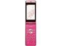docomo STYLE series P-06B̐i摜