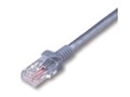 HLC-5E-2MP-SL (2m)
