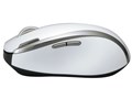 BSMLW10WH [�z���C�g]