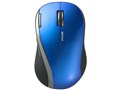 BSMLW10BL [�u���[]