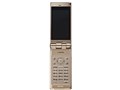 docomo STYLE series P-02C [GOLD]