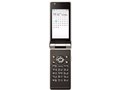 docomo SMART series P-01C [Metal Silver]̐i摜