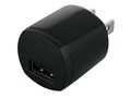 BSIPA10BK [�u���b�N]
