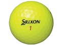 �X���N�\�� Z-STAR XV [�v���~�A���p�b�V�����C�G���[]