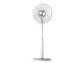 SIENT F-DLN100(W) [�z���C�g]