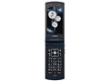 w{ J ʁx docomo STYLE series F-10C [PRECIOUS BLACK]̐i摜