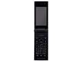w{ J ʁx docomo STYLE series P-06C [zCg]̐i摜