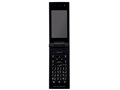w{ J ʁx docomo STYLE series P-06C [Vo[]̐i摜