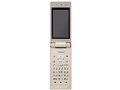 w{ J ʁx docomo STYLE series P-06C [[YS[h]̐i摜