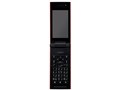 w{ J ʁx docomo STYLE series P-06C [IW]̐i摜