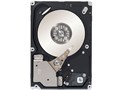 ST91000640SS [1TB 7200 SAS2.0]