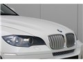 エクステリア アルピン・ホワイトＩＩＩ5 - X6 2008年モデル