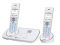 DECT3280-2(W) [�z���C�g]