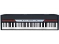 SP-250 BK [�u���b�N]