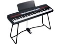 SP-250 BK [�u���b�N]