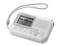 ICD-LX30