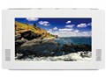 DS-ITV703WH [�z���C�g]