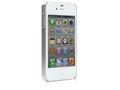 eggshell pearl for iPhone 4S/4 TUN-PH-000097 [�p�[���V���o�[]