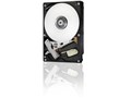 0S03385 [1TB SATA600 7200]