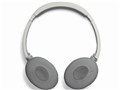 OE2 audio headphones [�z���C�g]