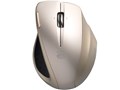 BSMBW03HSG [�V�����p���S�[���h]