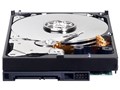 WD2500AAKX [250GB SATA600 7200]