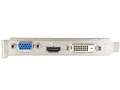 H667FN1G [PCIExp 1GB]
