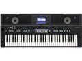 PORTATONE PSR-S650